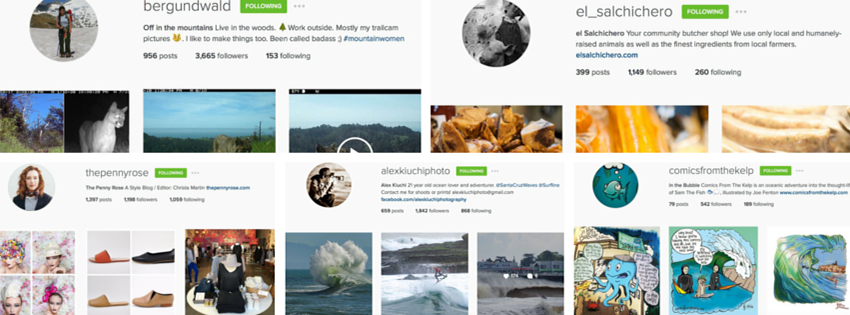 Instagram Accounts We Think You Should Know About