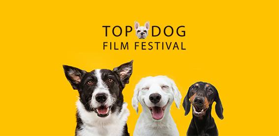 ingeniørarbejde bremse komedie TOP DOG Film Festival - Event Santa Cruz