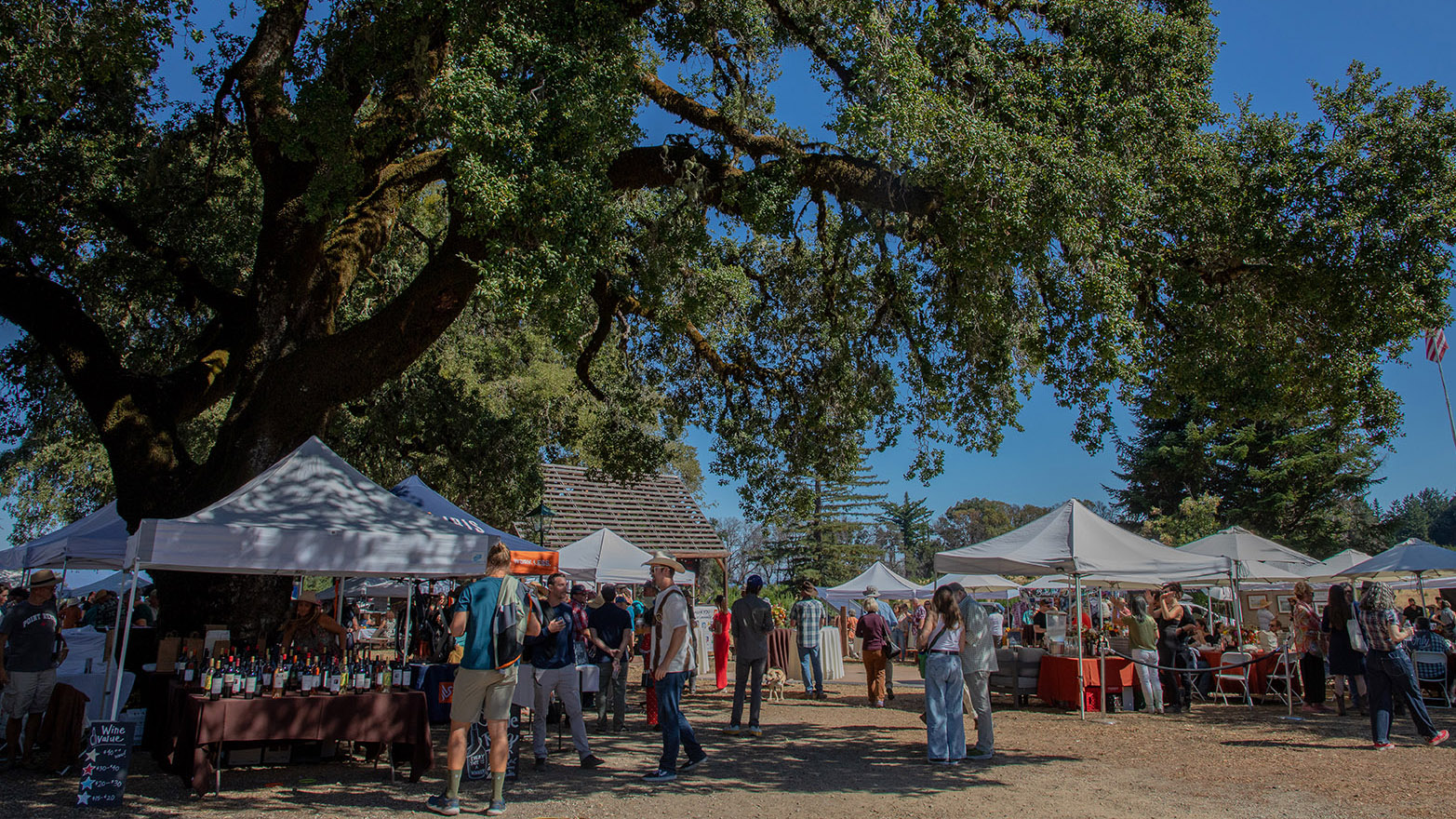 Bonny Doon Art, Wine & Brew Festival