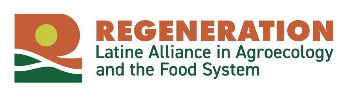 Celebrate Cempoalxóchitl, the Marigold, in October and November