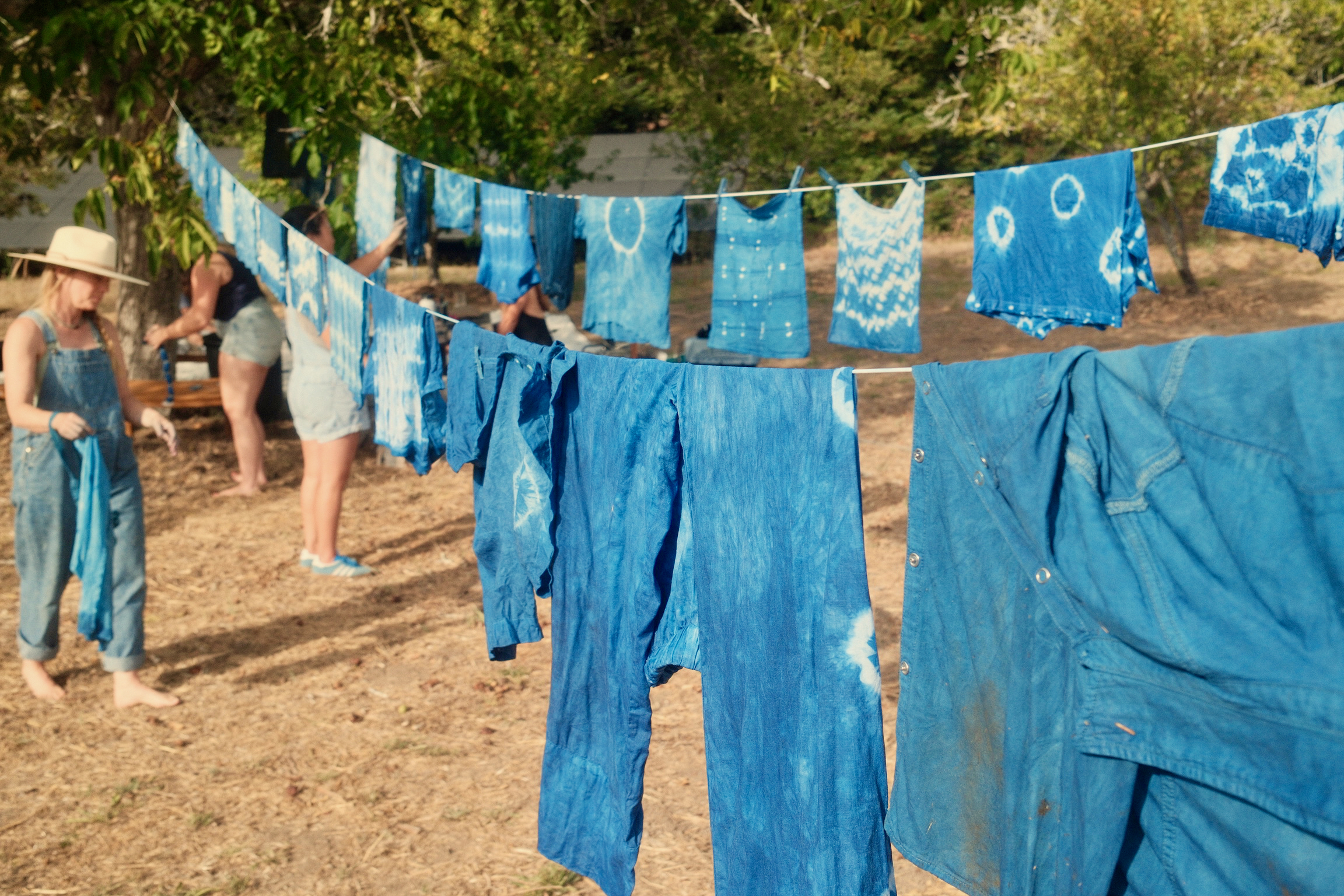 Indigo / Marigold / Cochineal — Natural Dyeing Workshop
